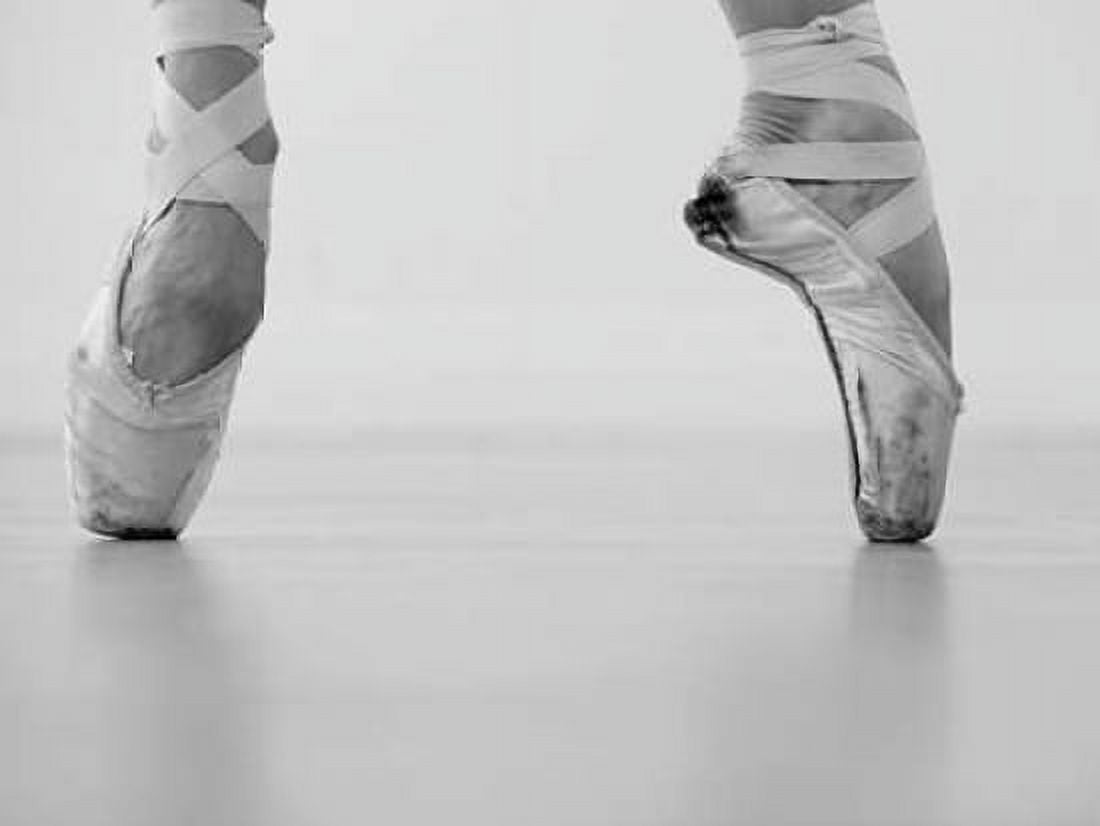 Posterazzi A female ballet dancer Canvas Art - Tetra Studio (22 x 28)