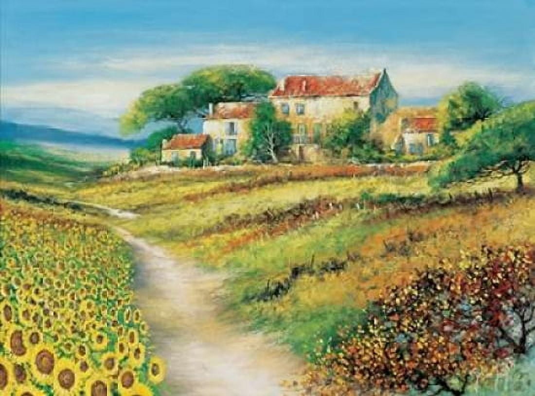 Posterazzi A path of promise Canvas Art - Johan de Jong (18 x 24)
