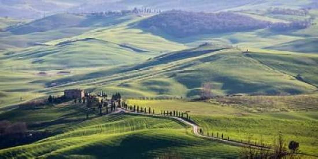 Posterazzi A road in Tuscany Canvas Art - Vadim Ratsenskiy (10 x 20)