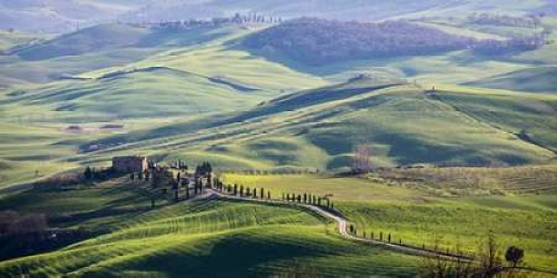 Posterazzi A road in Tuscany Canvas Art - Vadim Ratsenskiy (24 x 48)