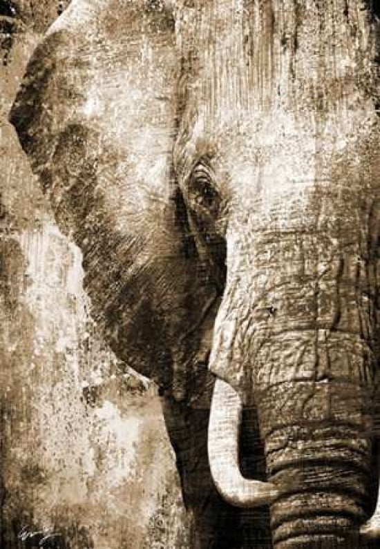 Posterazzi AFRICAN ANIMALS I - sepia Canvas Art - Eric Yang (20 x 28)