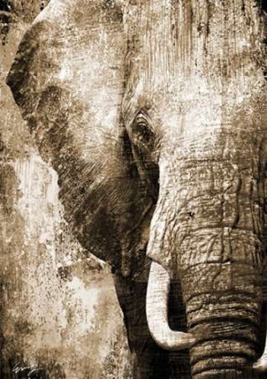 Posterazzi AFRICAN ANIMALS I - sepia Canvas Art - Eric Yang (20 x 28)