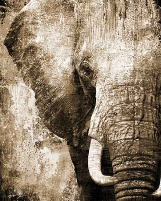 Posterazzi AFRICAN ANIMALS I - sepia Canvas Art - Eric Yang (24 x 30)