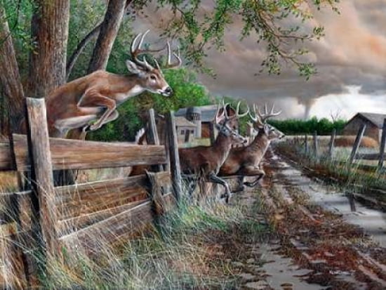 Posterazzi Abandon Farm Canvas Art - Kevin Daniel (18 x 24)