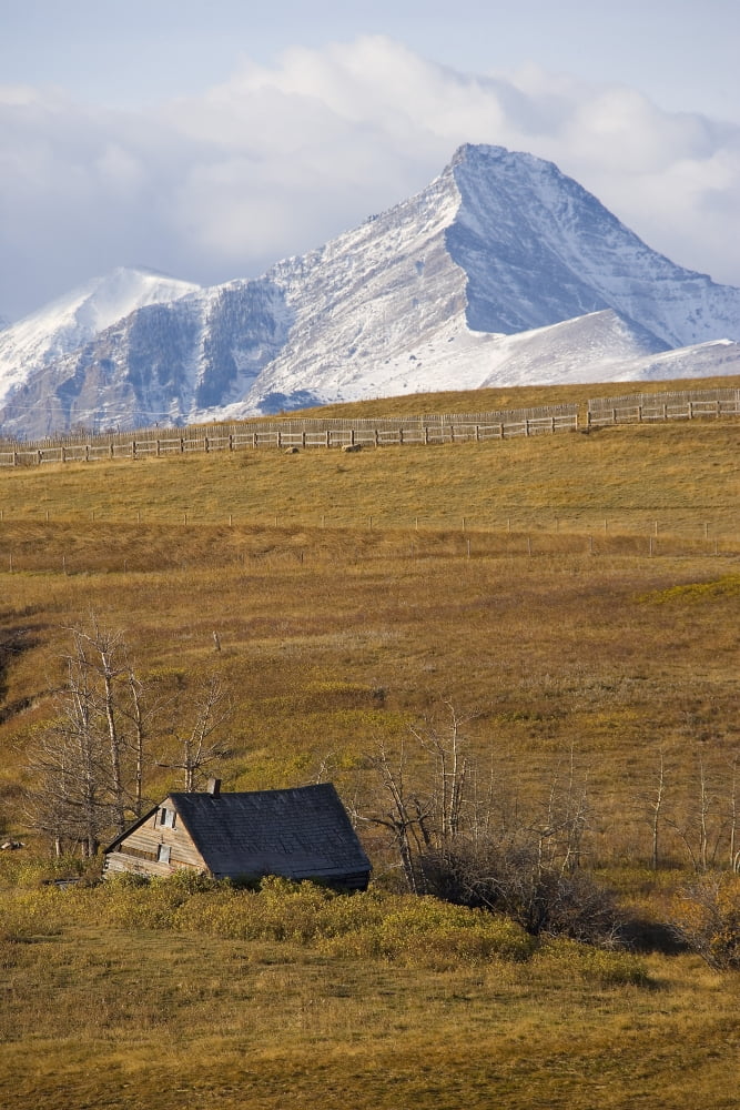 Posterazzi Abandoned Farmhouse Outside Of Waterton National Park Alberta Canvas Art - Robert Postma Design Pics (22 x 34)