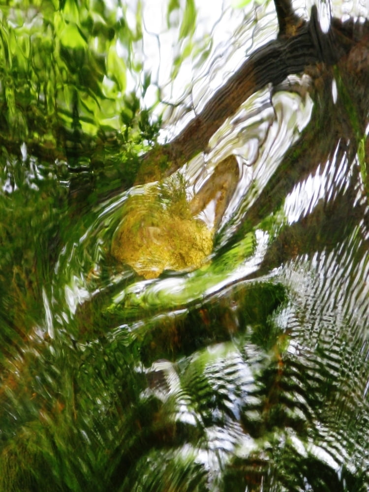 Posterazzi Abstract A Massachusetts Seekonk Caratunk Wildlife Refuge Shapes And Green Reflections In Water Canvas Art - Joanne Baldaia Design Pics (24 x 32)
