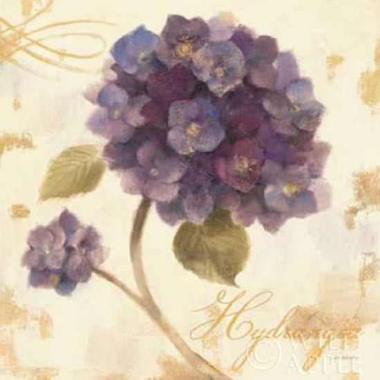 Posterazzi Abundant Hydrangea I Canvas Art - Albena Hristova (24 x 24)