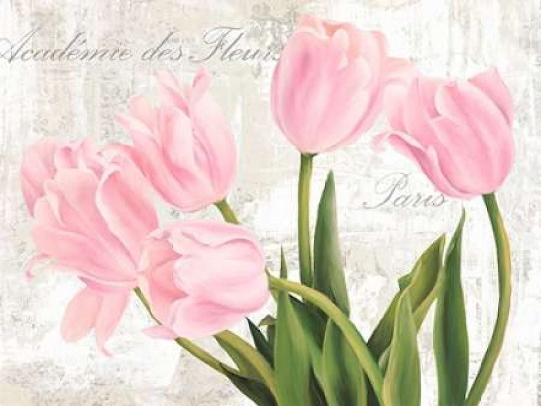 Posterazzi Academie des Fleurs Canvas Art - Jenny Thomlinson (22 x 28)