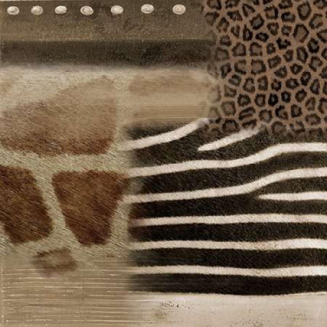 Posterazzi Africa Square II Canvas Art - Patricia Pinto (24 x 24)