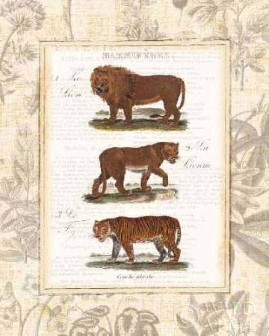 Posterazzi African Animals IV Canvas Art - Wild Apple Portfolio (24 x 30)