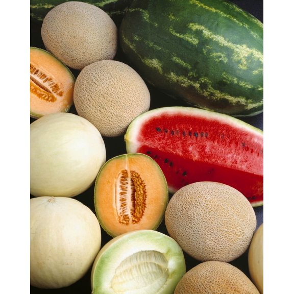 Posterazzi Agriculture - Mixed melons watermelon cantaloupe and honeydew Canvas Art - Ed Young Design Pics (26 x 34)