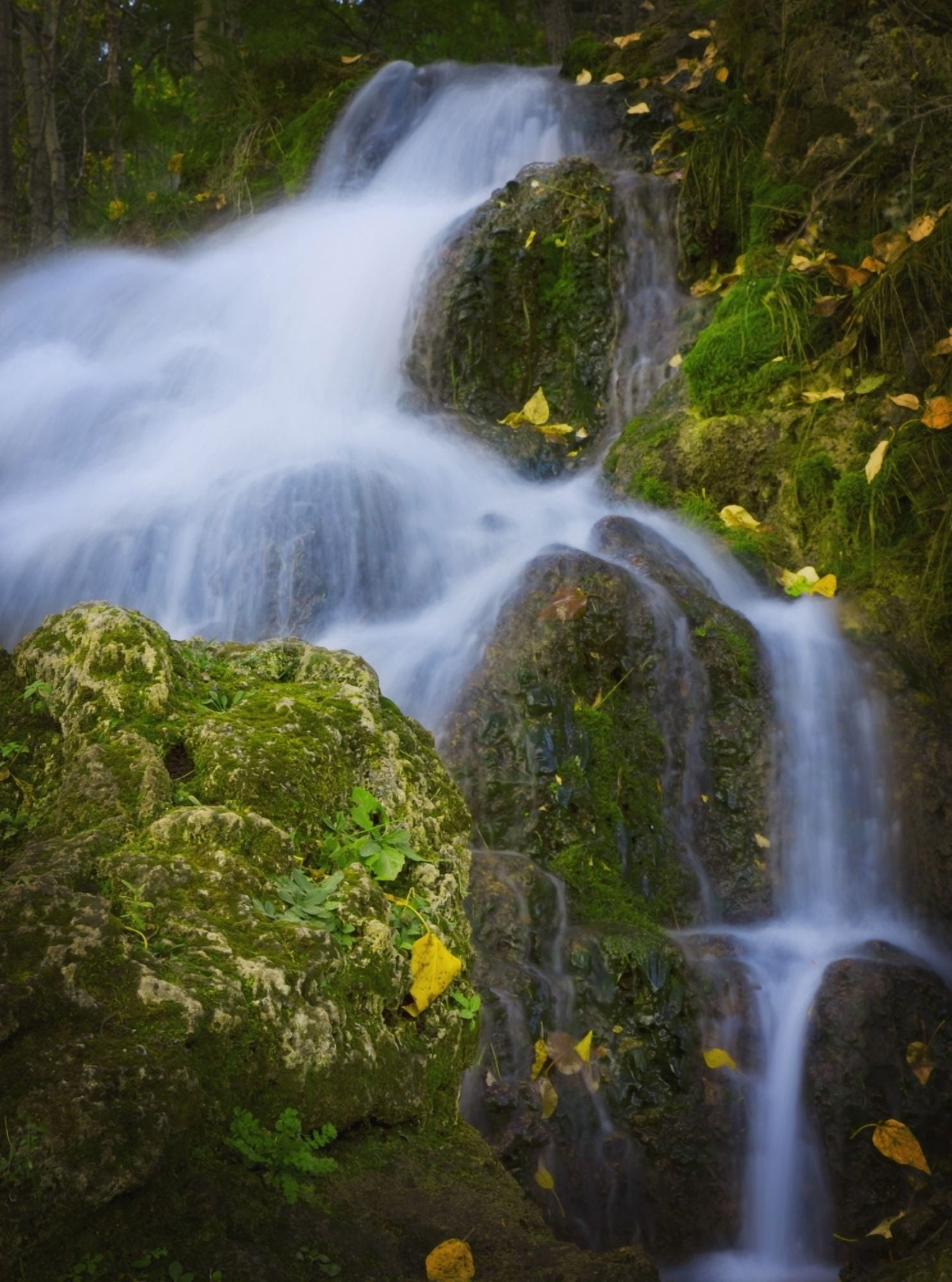 Posterazzi Alberta Canada A Waterfall Over Moss Covered Rocks Canvas Art - Darren Greenwood Design Pics (26 x 34)