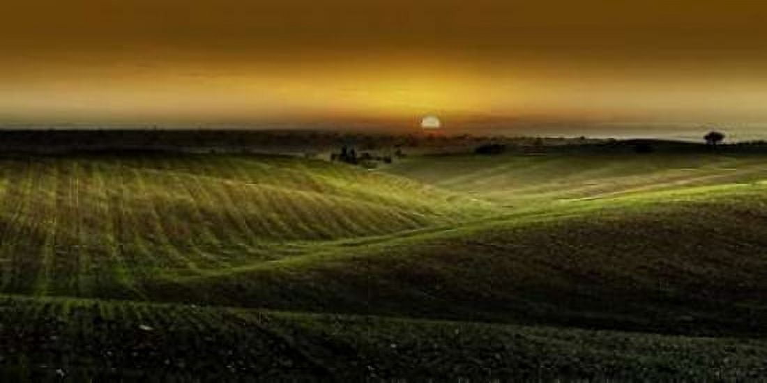 Posterazzi Alentejo Sunset Canvas Art - Adelino Goncalves (24 x 48)