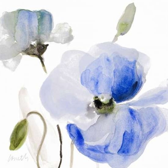 Posterazzi All Poppies I Canvas Art - Lanie Loreth (24 x 24)
