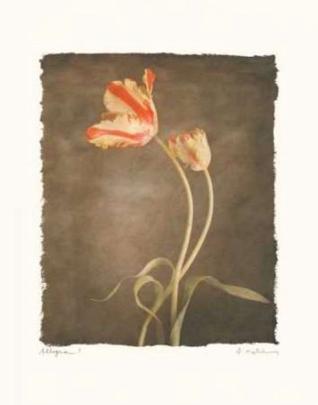Posterazzi Allegria I Canvas Art - Amy Melious (22 x 28)