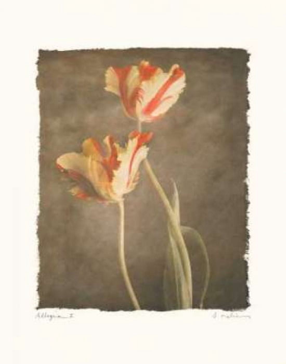 Posterazzi Allegria II Canvas Art - Amy Melious (22 x 28)
