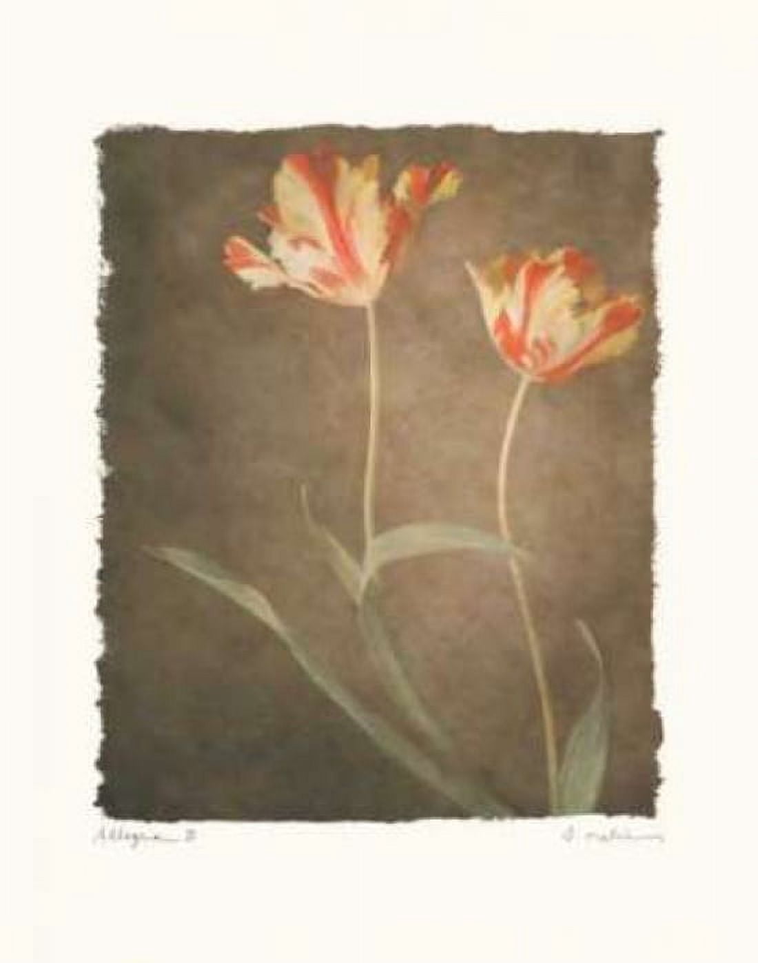 Posterazzi Allegria III Canvas Art - Amy Melious (22 x 28)