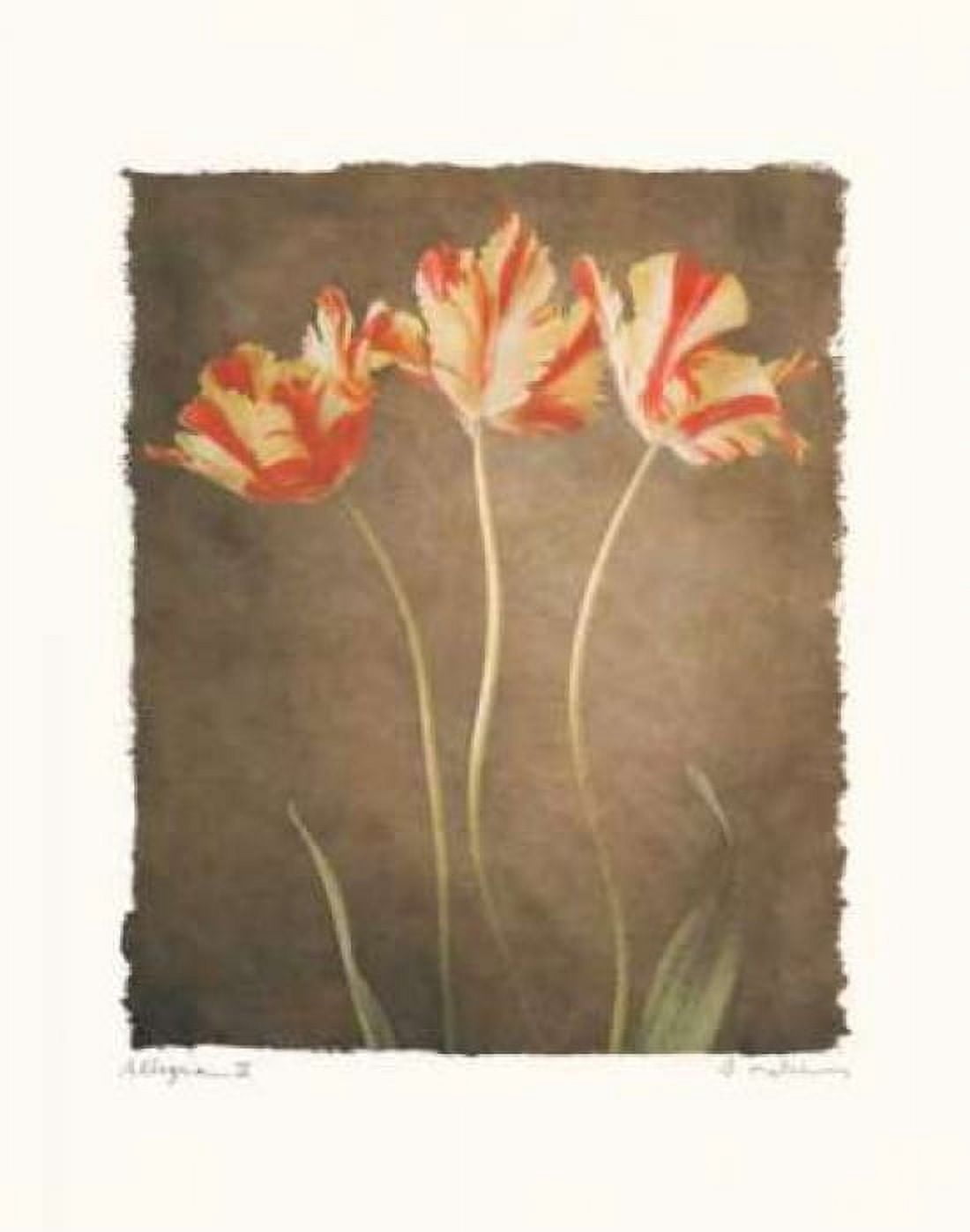 Posterazzi Allegria IV Canvas Art - Amy Melious (22 x 28)
