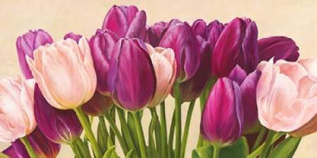 Posterazzi Allegro con brio Canvas Art - Luca Villa (24 x 48)