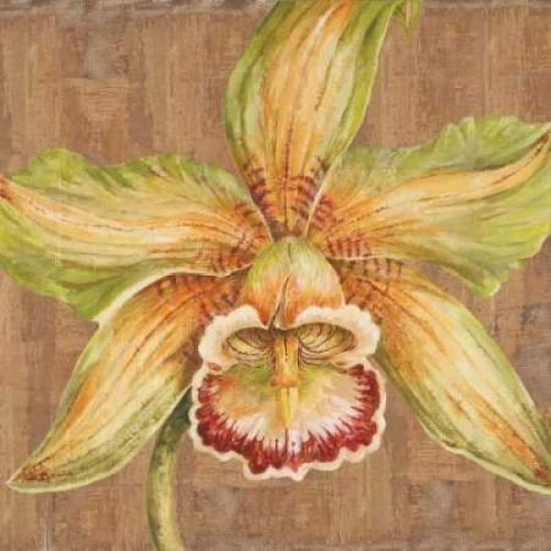 Posterazzi Aloha Beauty Petites A Canvas Art - Judy Shelby (24 x 24)