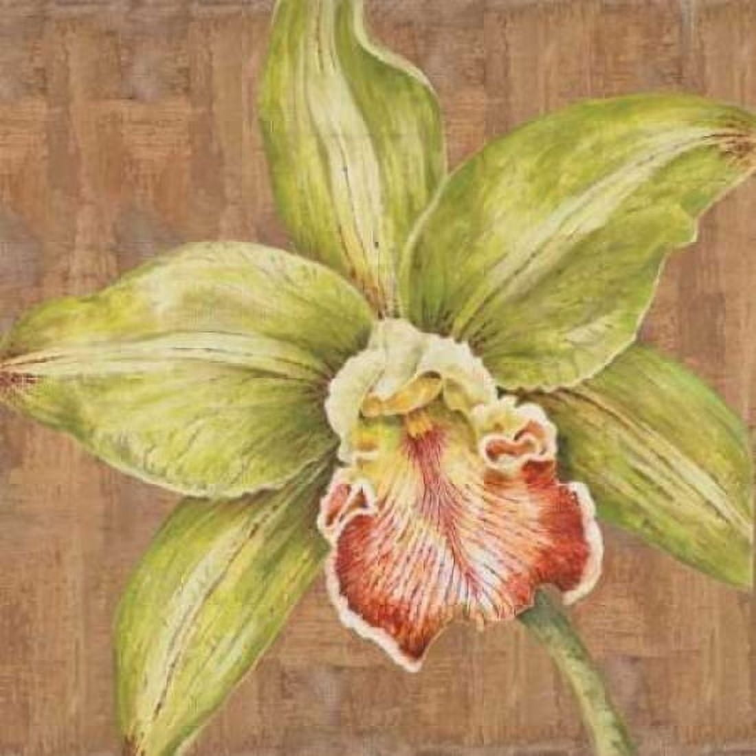 Posterazzi Aloha Beauty Petites B Canvas Art - Judy Shelby (24 x 24)