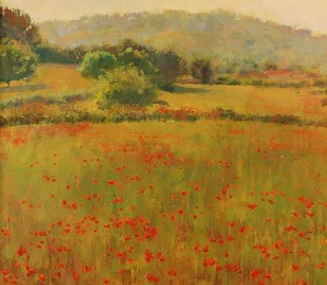 Posterazzi Amapolas III Canvas Art - Alex Hook Krioutchkov (24 x 24)