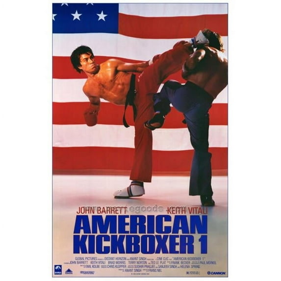 Posterazzi American Kickboxer 1 Movie Poster - 27 x 40 in.