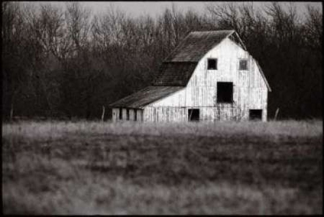 Posterazzi Americana Canvas Art - James OMara (24 x 36)