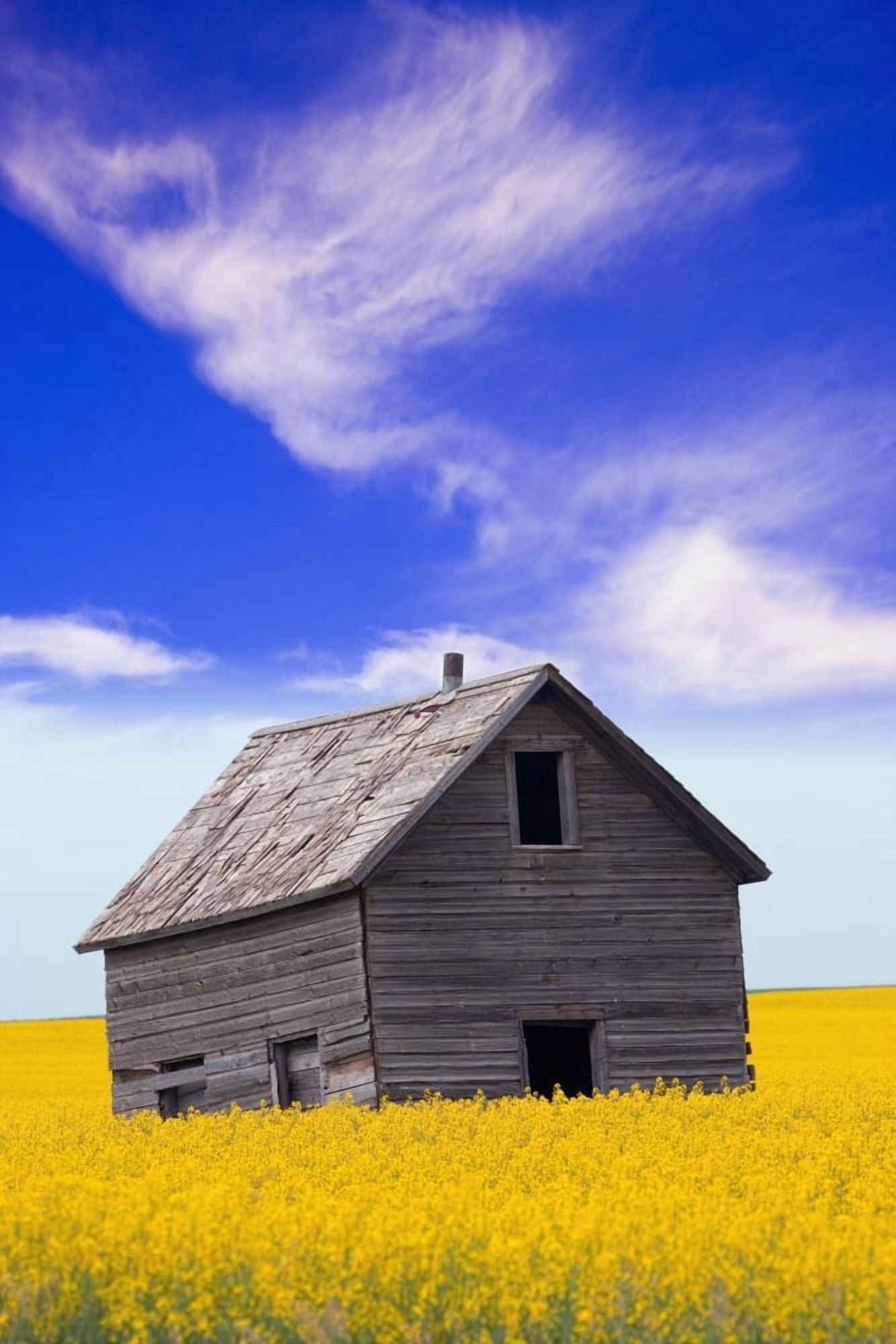 Posterazzi An Abandoned Farm Building Canvas Art - Carson Ganci Design Pics (22 x 34)