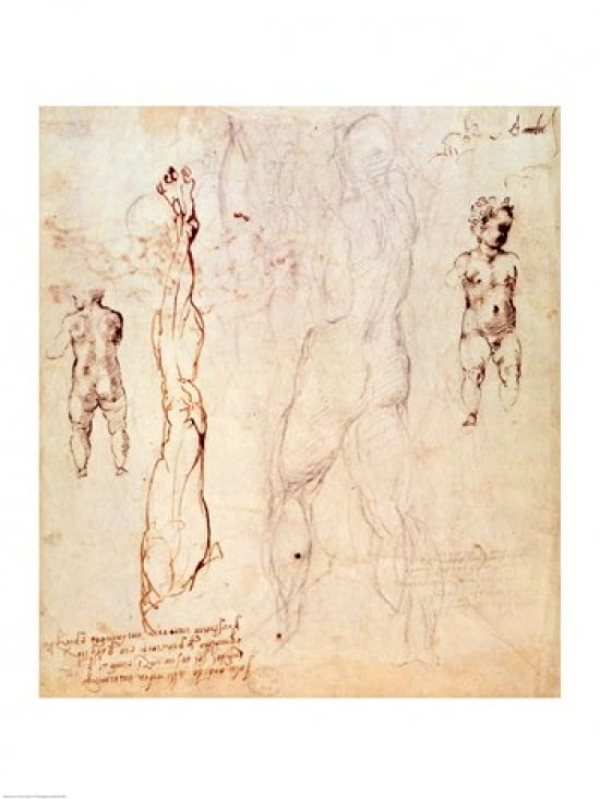 Posterazzi Anatomical drawings with accompanying notes Canvas Art - Michelangelo Buonarroti (24 x 36)