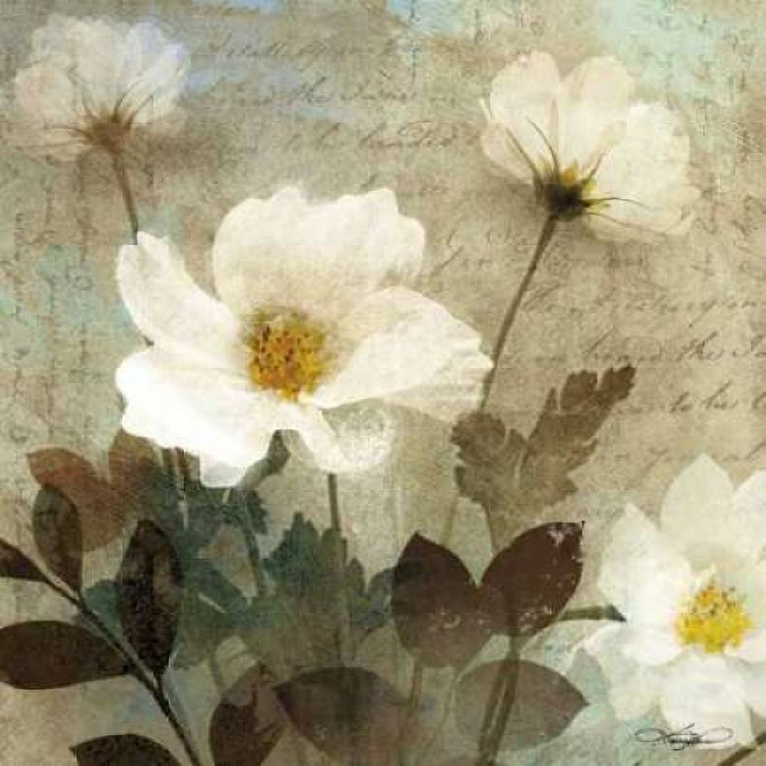 Posterazzi Anemone I Canvas Art - Keith Mallett (24 x 24)
