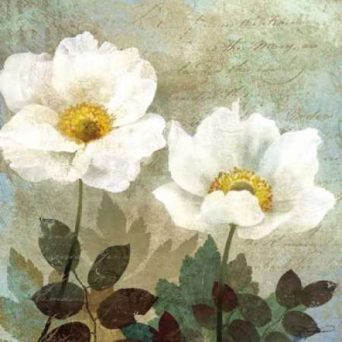 Posterazzi Anemone II Canvas Art - Keith Mallett (24 x 24)