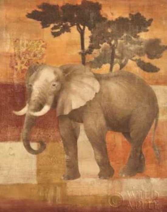 Posterazzi Animals on Safari IV Canvas Art - Albena Hristova (22 x 28)