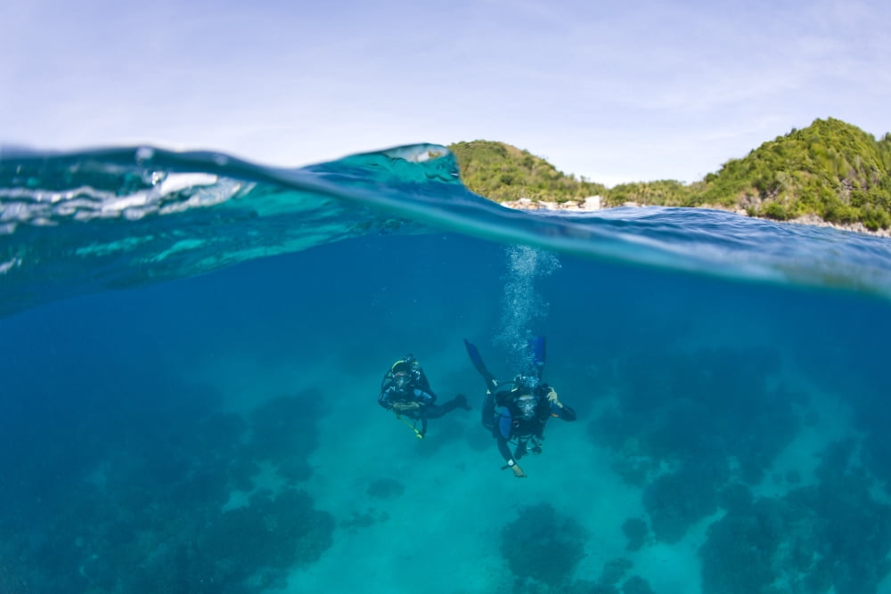 Posterazzi Apo Island Marine Park Negros Oriental Island Philippines Southeast Asia Scuba Divers Canvas Art - Stuart Westmorland Design Pics (36 x 24)