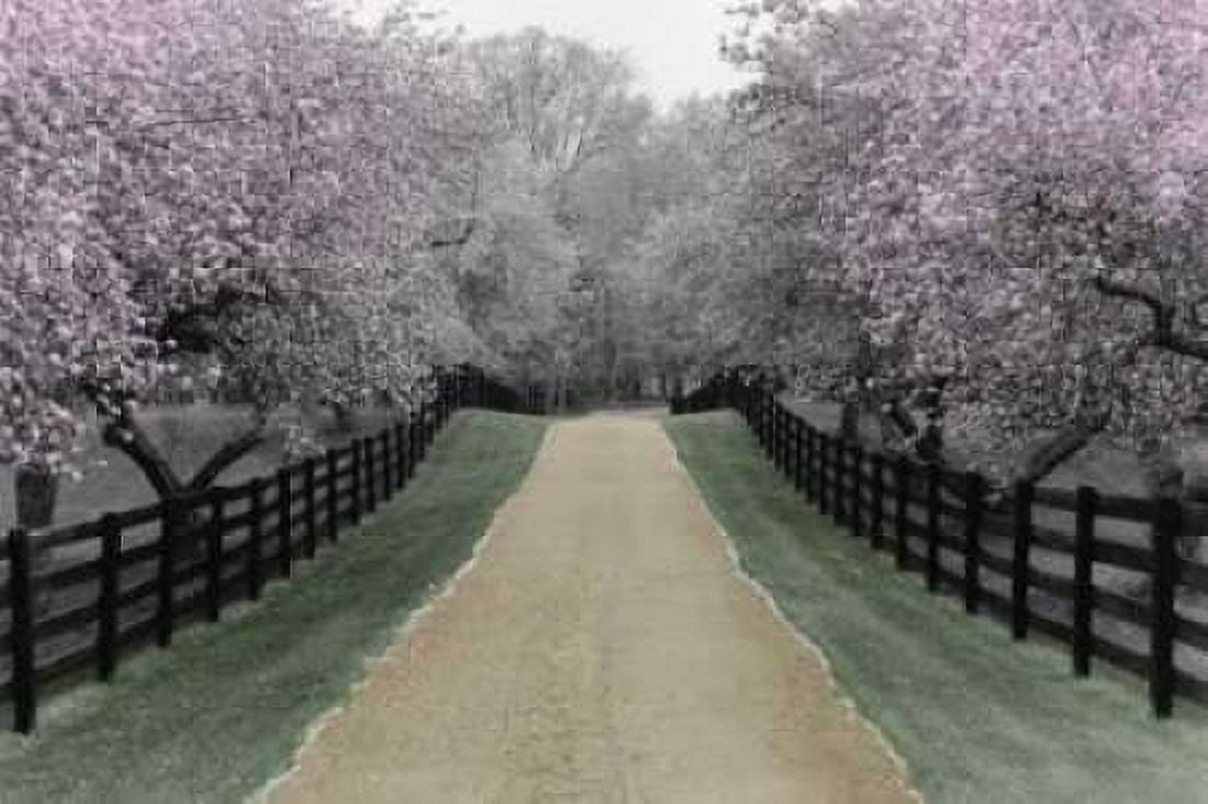 Posterazzi Apple Blossom Lane Canvas Art - Monte Nagler (24 x 36)