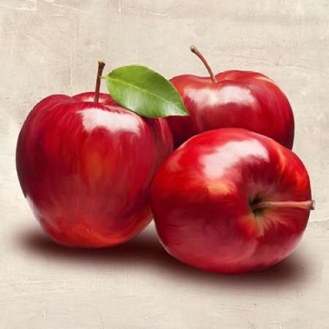 Posterazzi Apples Canvas Art - Remo Barbieri (24 x 24)