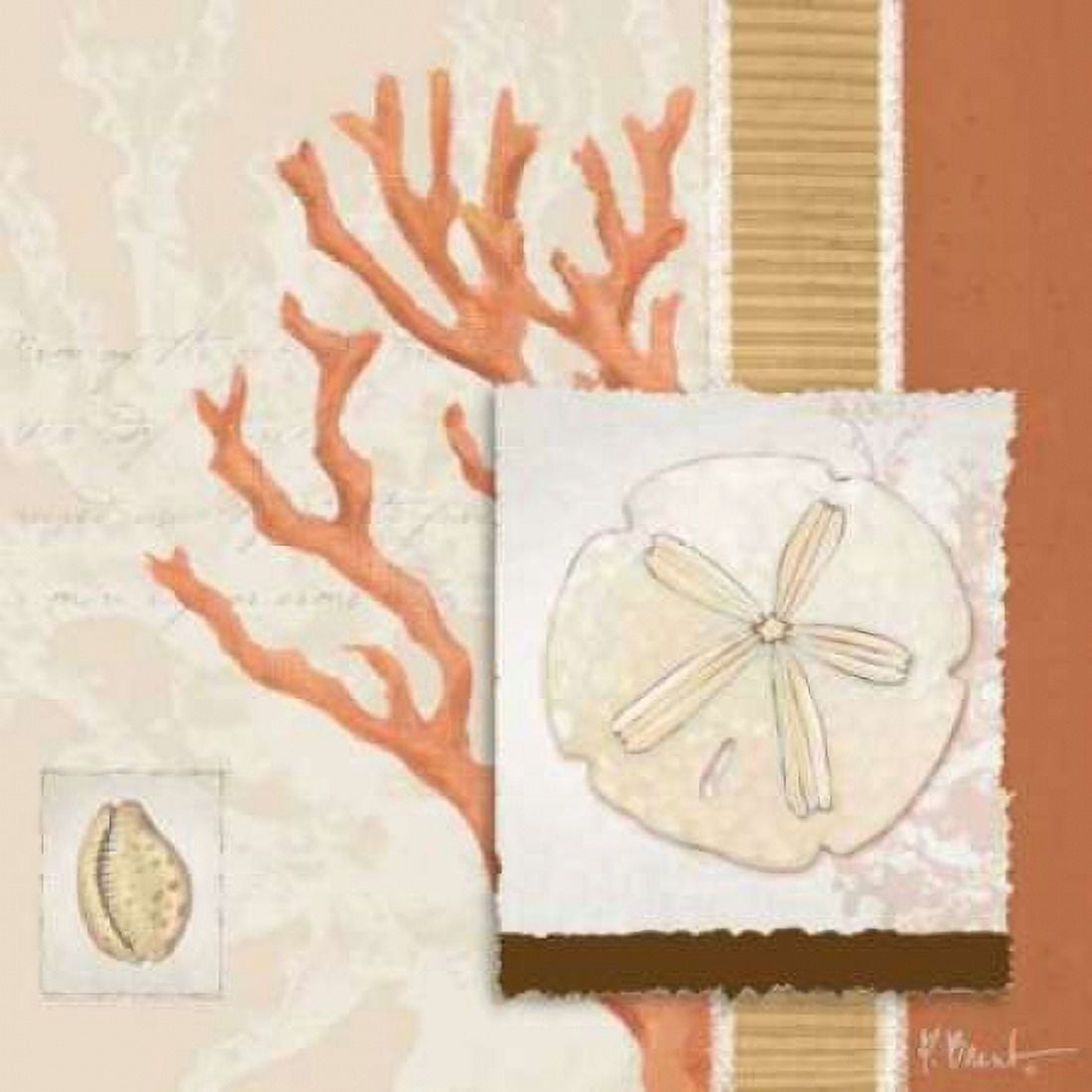 Posterazzi Aquarius Coral Sq III Canvas Art - Paul Brent (24 x 24)