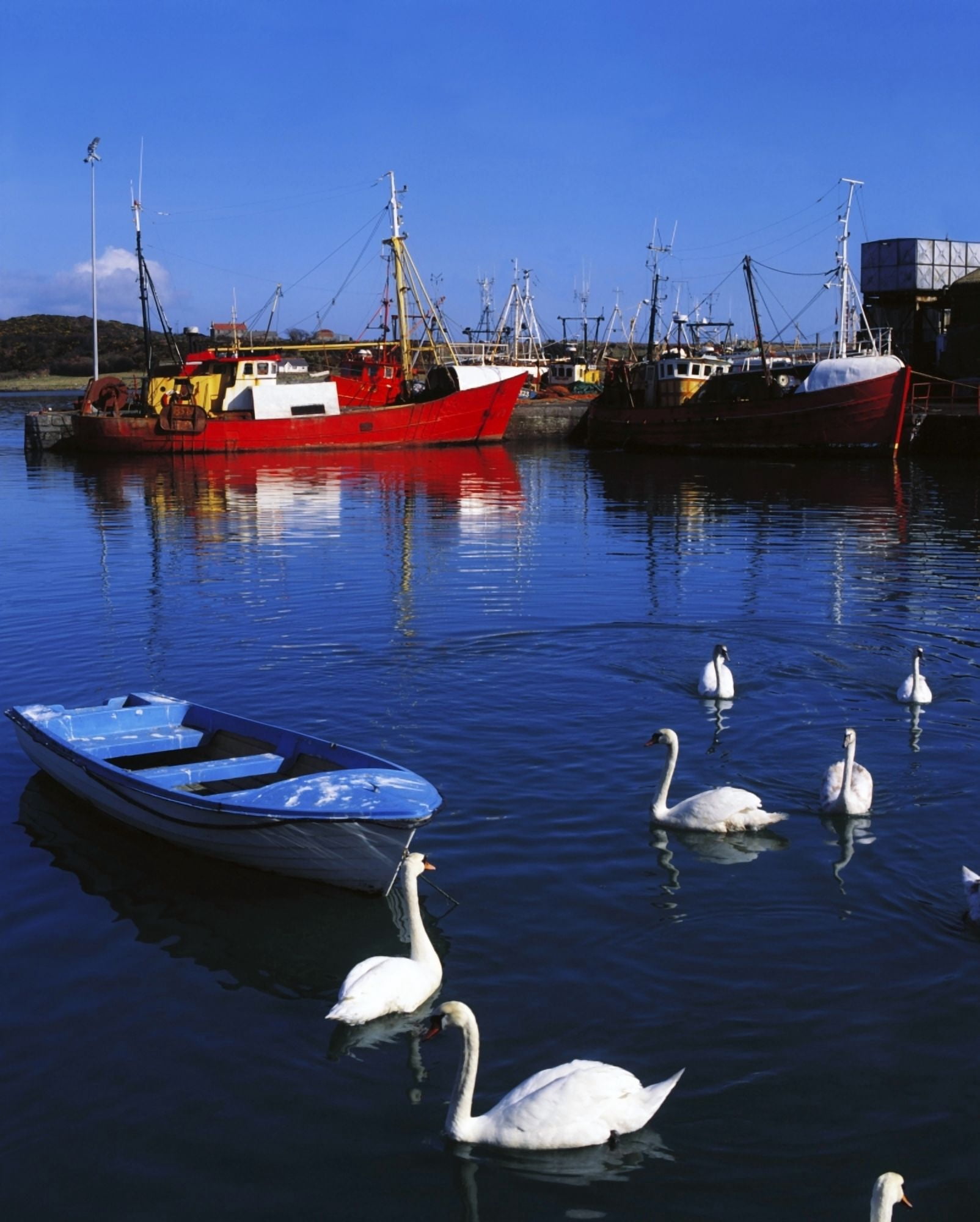 Posterazzi Ardglass Co Down Ireland Swans Near Fishing Boats Canvas Art - The Irish Image Collection Design Pics (26 x 34)