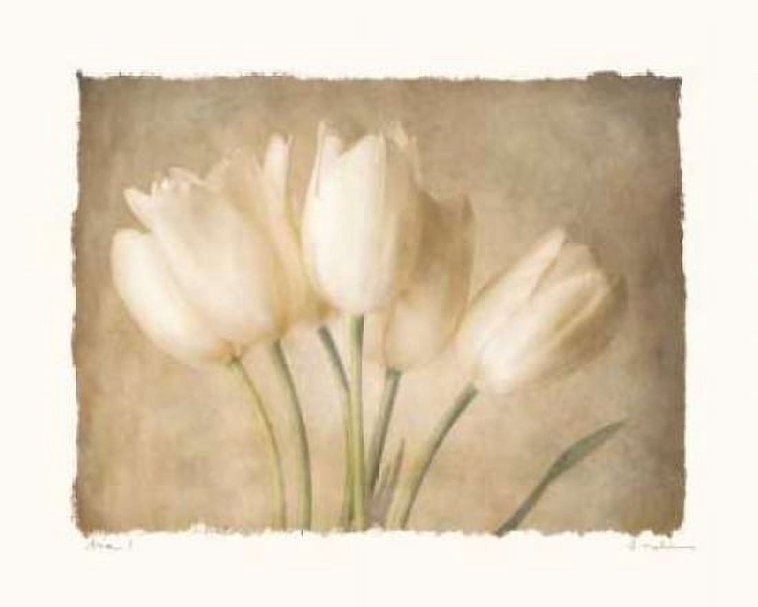Posterazzi Aria I Canvas Art - Amy Melious (24 x 30)