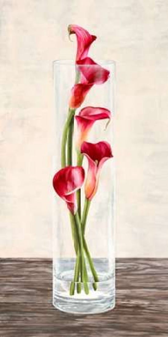 Posterazzi Arrangement of callas Canvas Art - Shin Mills (10 x 20)