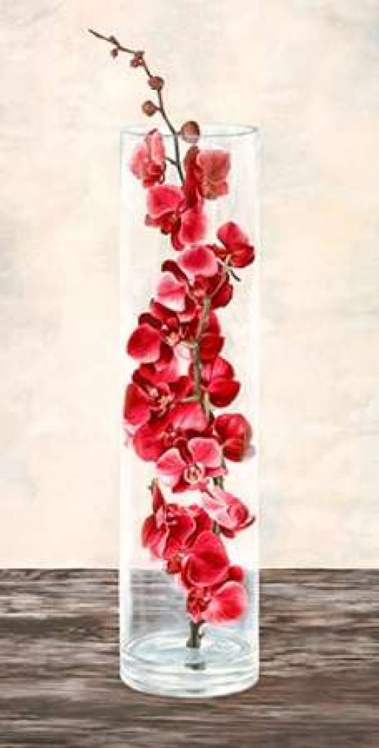 Posterazzi Arrangement of orchids Canvas Art - Shin Mills (10 x 20)