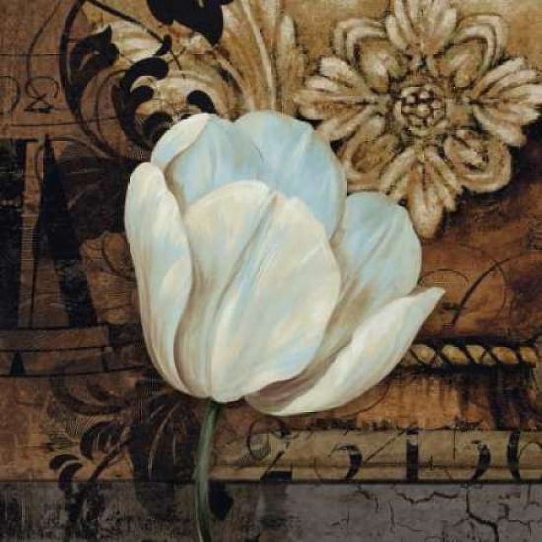 Posterazzi Artifact II Canvas Art - Pamela Gladding (24 x 24)