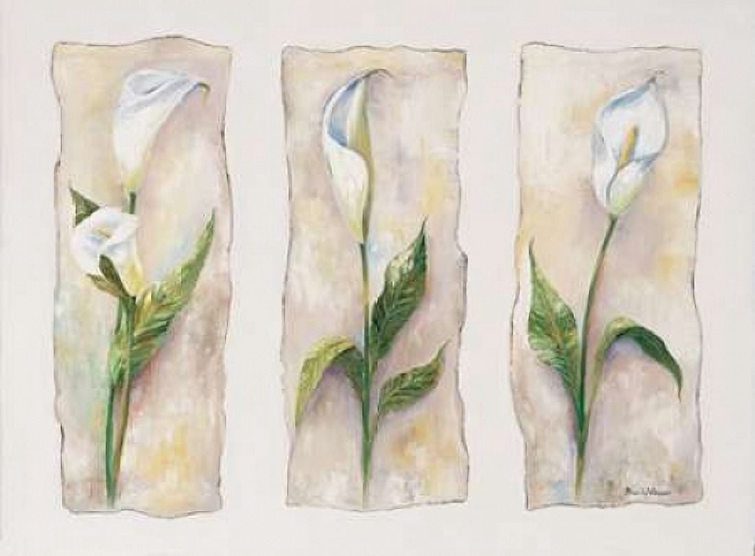Posterazzi Aspects of arums Canvas Art - Rian Withaar (18 x 24)