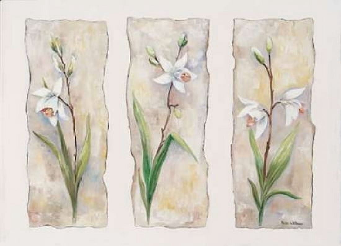 Posterazzi Aspects of orchids Canvas Art - Rian Withaar (20 x 28)