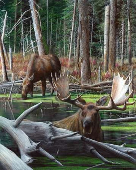 Posterazzi At Waters Edge Canvas Art - Kevin Daniel (24 x 30)