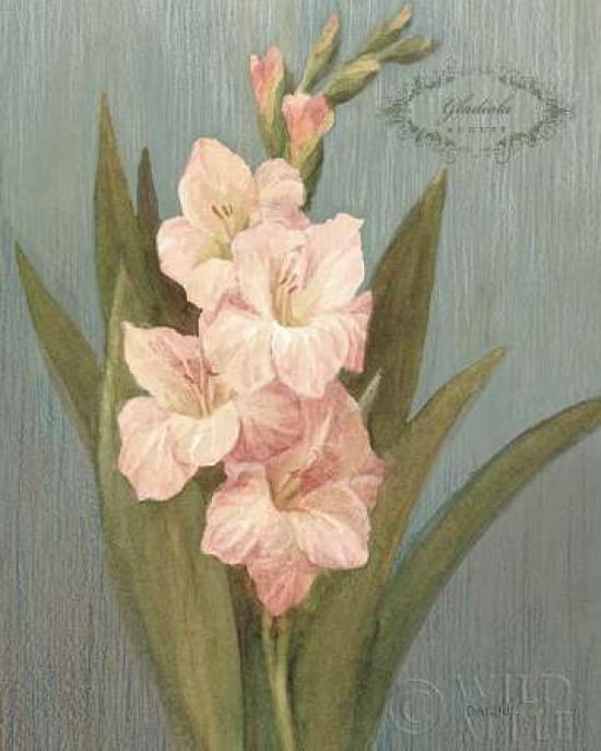 Posterazzi August Gladiola Canvas Art - Danhui Nai (24 x 30)