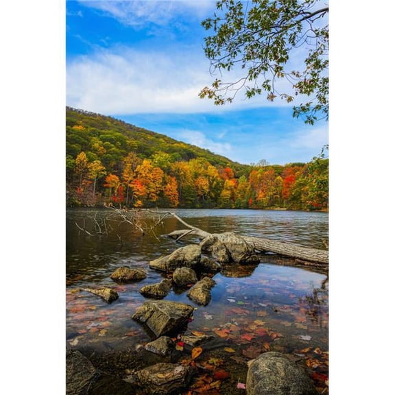 Posterazzi Autumn Foliage at Hessian Lake Bear Mountain State Park - Bear Mountain New York United States of America Poster Print