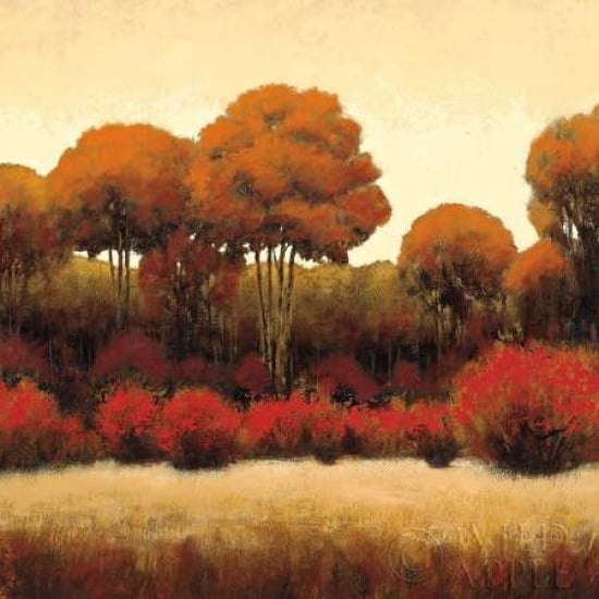 Posterazzi Autumn Forest II Canvas Art - James Wiens (24 x 24)