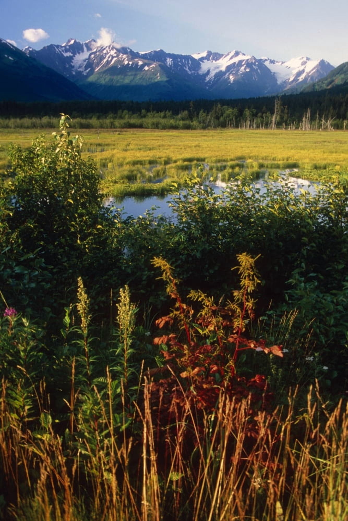 Posterazzi Autumn Landscape Along The Turnagain Arm Near Girdwood Alaska Canvas Art - Doug Lindstrand Design Pics (22 x 34)