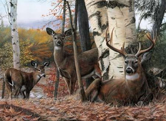 Posterazzi Autumn Majesty Canvas Art - Kevin Daniel (18 x 24)